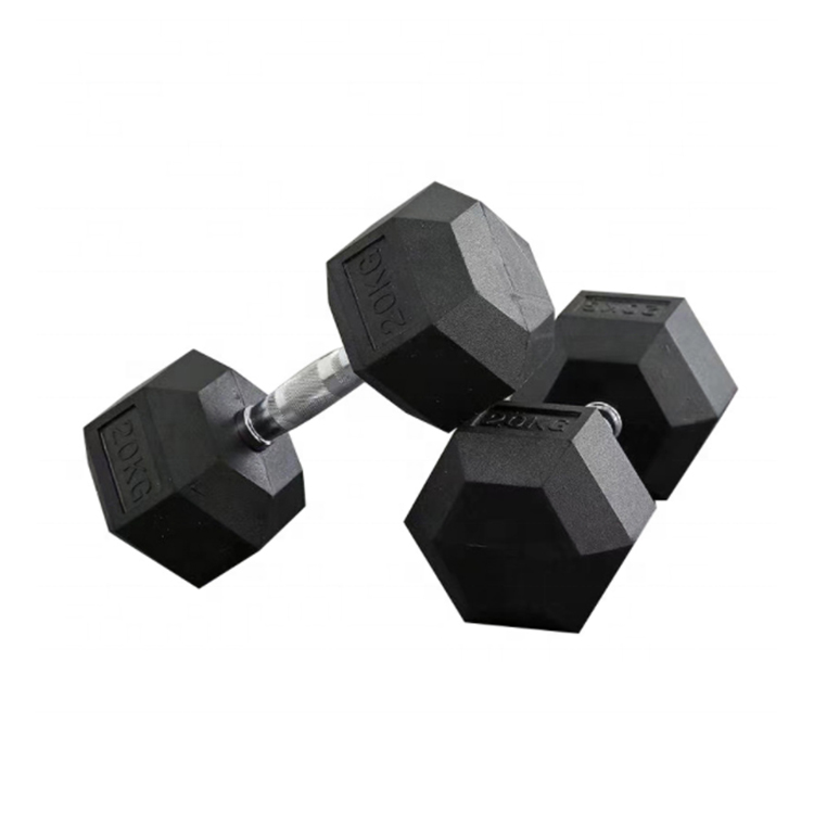 ดัมเบลหกเหลี่ยมยาง 5-100 ปอนด์ - Hex Dumbbell Set บทวิจารณ์และราคา