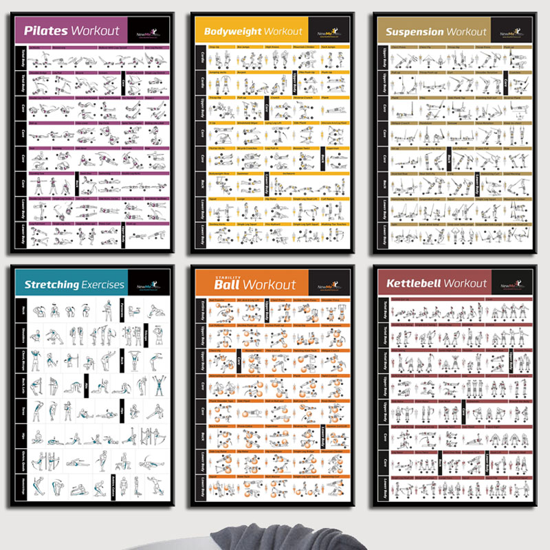 แผนภูมิการฝึกออกกำลังกายร่างกา - Home Gym York บทวิจารณ์และราคา
