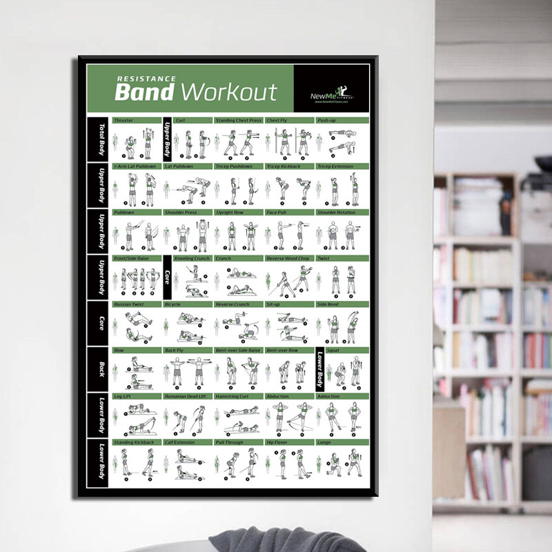แผนภูมิการฝึกออกกำลังกายร่างกา - Home Gym York บทวิจารณ์และราคา