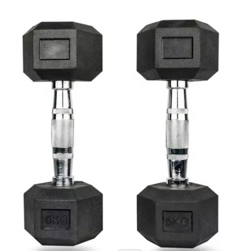 ดัมเบลเหล็กหล่อสำหรับฟิตเนสและ - Hex Dumbbell Set บทวิจารณ์และราคา